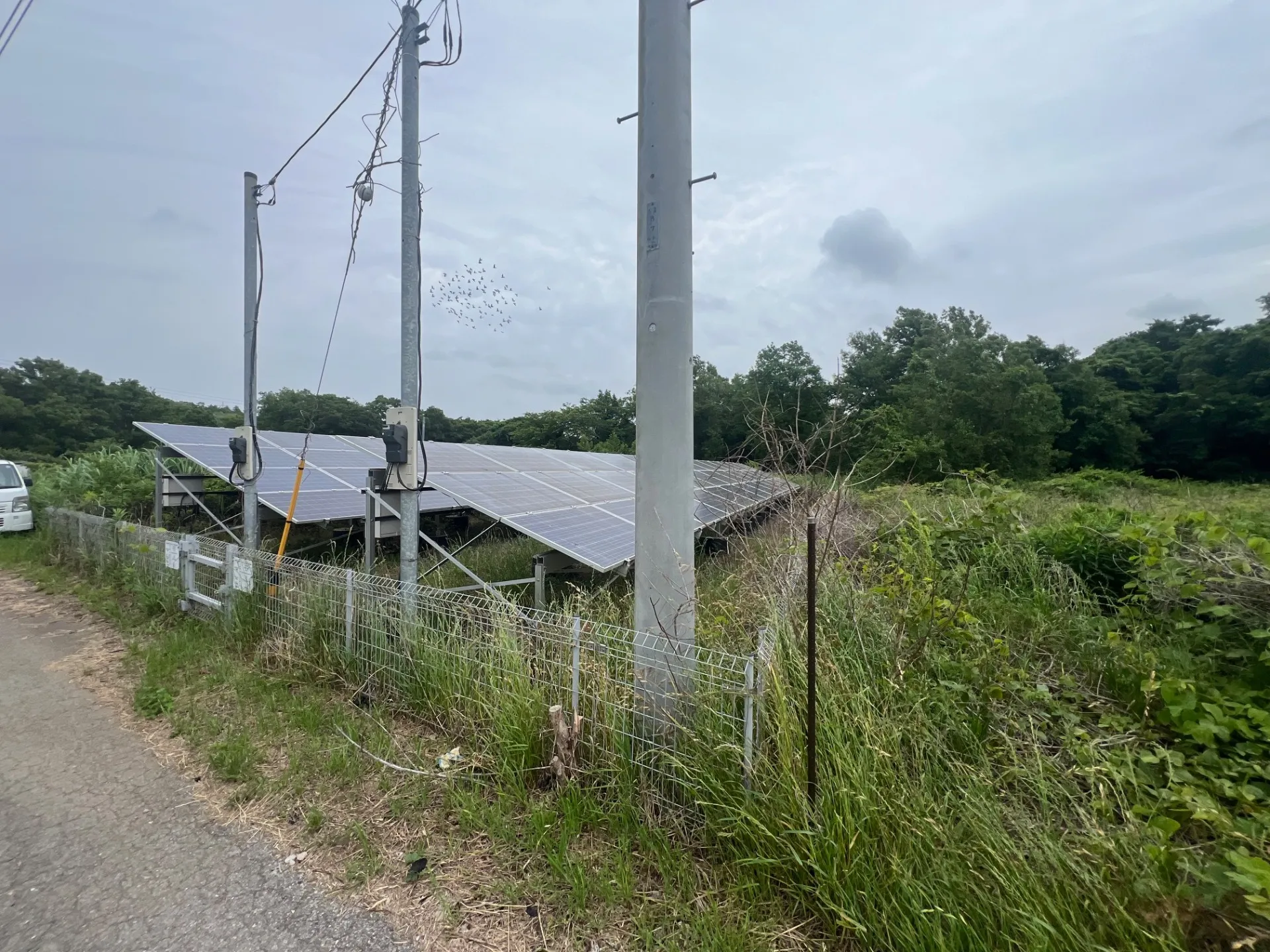 太陽光発電ソーラーパネル下の草刈り、防草シート施工